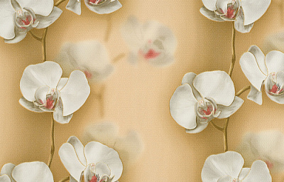 Брянские Обои Грация гфр 2 С6БР-ГП